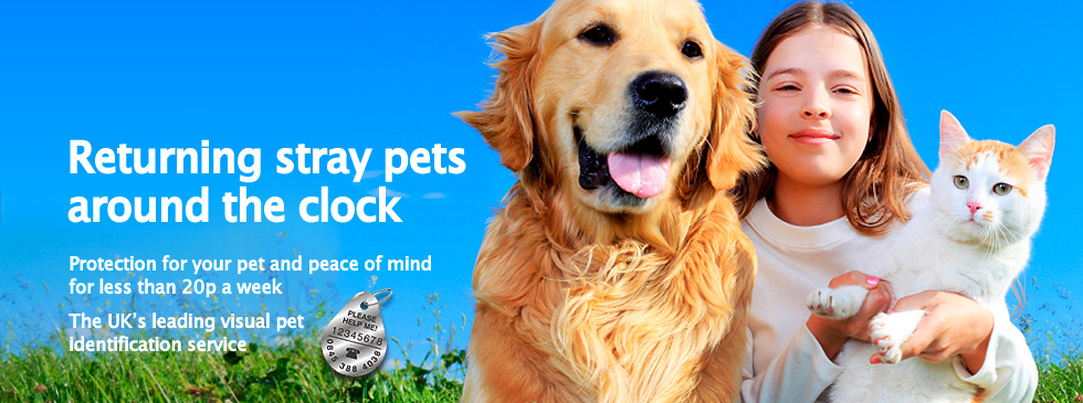 Returning stray pets around the clock